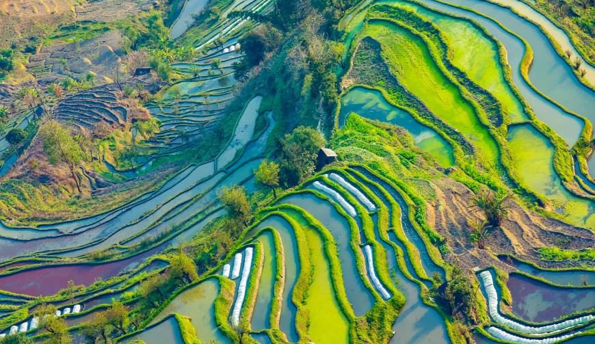 走进昂昂溪区TVC拍摄：解锁本地化场景与创意镜头的完美融合